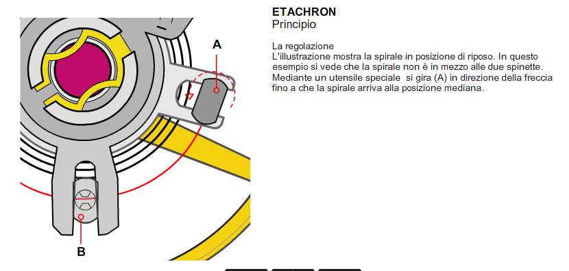 Image result for etachron